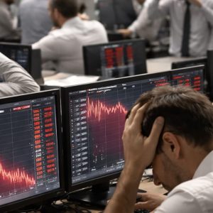 Capital Market Stocks